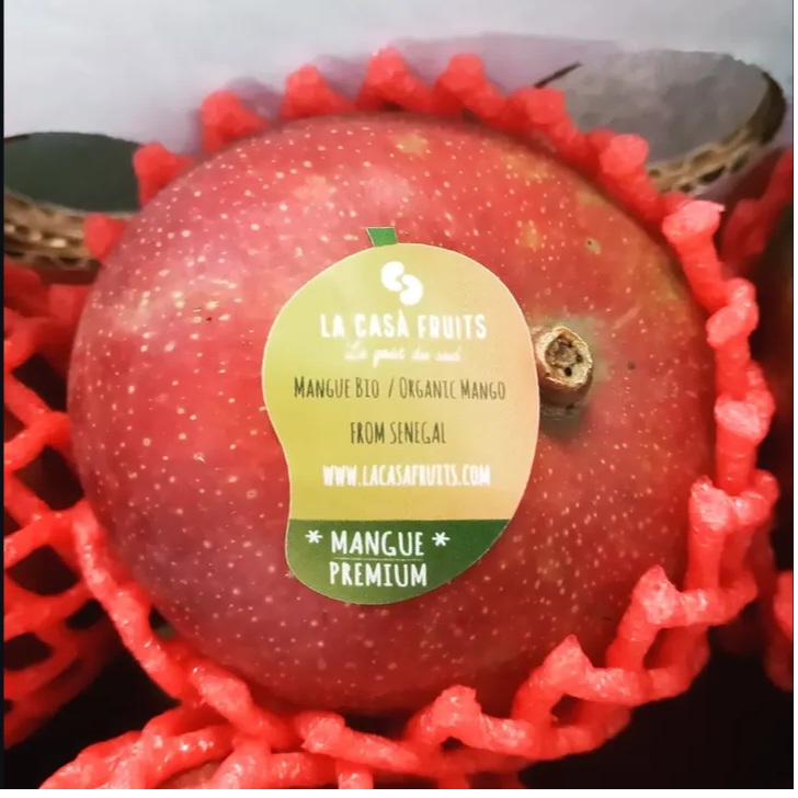 Mangue premium